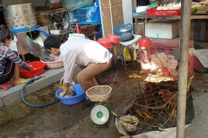 Nhiều khó khăn trong thanh tra chuyên ngành an toàn thực phẩm 
