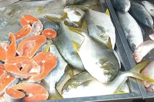 Ăn cá có thể giúp giảm nguy cơ đau tim và đột quỵ