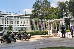 Loại cây được trồng thay thế ở Dinh Độc Lập là cây gì?