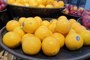 Ăn gì để tăng cường sức chịu đựng của cơ thể?