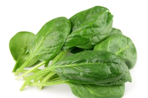 Nhiều lợi ích không ngờ tới của cải bó xôi