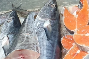 Cá thu có thể giúp làm giảm nguy cơ bệnh tiểu đường?
