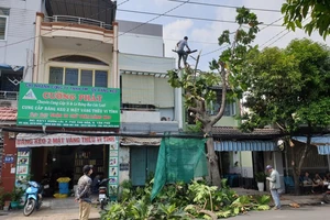 Chặt hạ cây xanh: Làm sao để người dân không phản ứng?