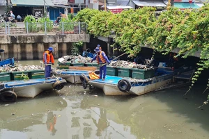 Nguyên nhân cá chết hàng loạt trên kênh Nhiêu Lộc-Thị Nghè