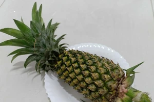 Người tiểu đường có nên bổ sung dứa vào chế độ ăn uống?