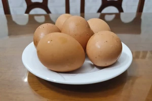 Những lưu ý liên quan việc sử dụng và kinh doanh trứng gia cầm