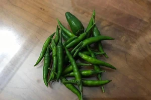 Mối liên quan giữa việc tiêu thụ ớt và bệnh tiểu đường