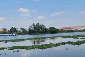 Thời tiết tại Nam bộ ra sao trong dịp Tết Nhâm Dần?