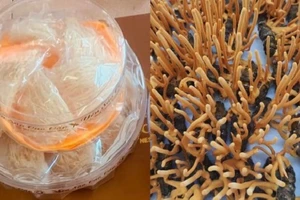 Cẩn trọng tổ yến, đông trùng hạ thảo kém chất lượng mùa COVID-19