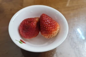 Thói quen ăn uống giúp tăng cường trí nhớ