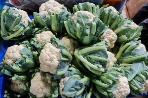 Ăn gì để giải nhiệt trong mùa nắng nóng?