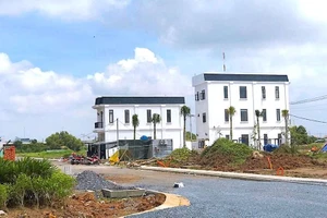 Ảnh minh Hoạ: MINH LONG