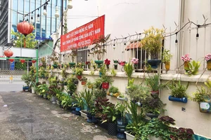 TP.HCM tổ chức nhiều hoạt động hưởng ứng tháng hành động vì môi trường 