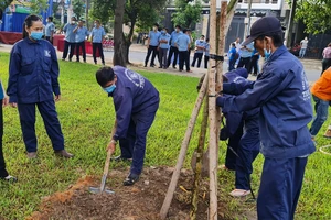 Bộ TN&MT đề nghị các đơn vị tổ chức hưởng ứng Ngày Môi trường thế giới