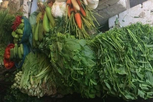 TP.HCM: Cần phối hợp kiểm soát chất lượng thực phẩm từ tỉnh trước khi đưa về TP