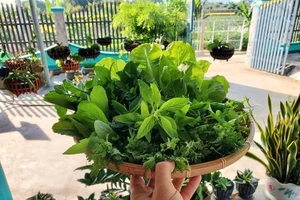 Cách quản lý bệnh huyết áp và tiểu đường qua chế độ ăn uống