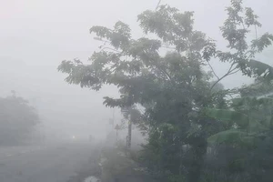 Nguyên nhân gây sương mù ở TP.HCM, Long An sáng nay