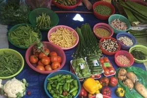 Đánh tráo xuất xứ rau: Bị xử lý ra sao?