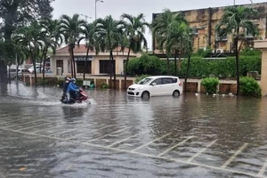 Hôm nay, TP.HCM có khả năng ngập do triều cường