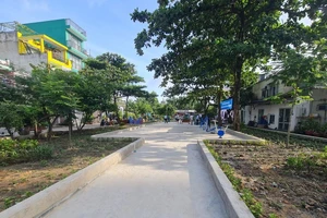 Vì sao cây xanh ở TP.HCM đang thiếu nhiều so với chỉ tiêu?