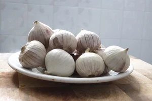 Những thực phẩm giúp tăng cường miễn dịch cho người mắc bệnh tiểu đường