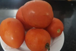 Loại rau củ có thể giúp cải thiện sức khoẻ đường ruột