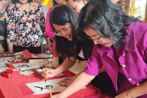 Công bố sản phẩm du lịch 'Sắc màu Bình Tân'