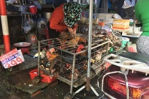 TP.HCM tiến tới chấm dứt các cơ sở giết mổ gia súc, gia cầm thủ công