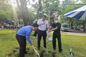Quận Tân Phú, TP.HCM vận động người dân trồng cây để phát triển mảng xanh