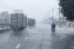 Kế hoạch thu quỹ phòng, chống thiên tai ở TP.HCM năm 2023