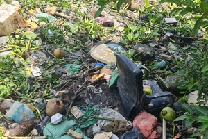 Ngán ngẩm rác bủa vây nhiều kênh ở TP.HCM