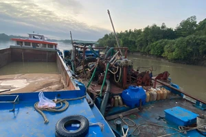 TP.HCM: Nhiều đối tượng dùng hóa đơn khống để hợp thức hóa nguồn gốc cát 