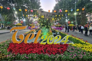 Hội hoa xuân TP.HCM với nhiều kỳ hoa dị thảo bắt đầu đón khách