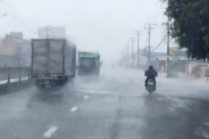 TP.HCM thí điểm xử phạt doanh nghiệp không đóng quỹ phòng, chống thiên tai