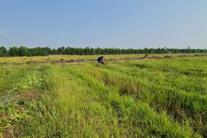 Nắng nóng gay gắt sẽ tiếp tục kéo dài ở Nam bộ