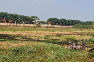 Hạn mặn sẽ xâm nhập sâu vào kênh, rạch ở TP.HCM