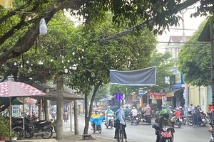 Nhiều khu vực ở TP.HCM đón cơn mưa giải nhiệt