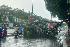 Mưa 'trắng trời' xuất hiện nhiều nơi ở TP.HCM