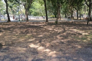 Công viên 23-9 xơ xác, UBND TP.HCM chỉ đạo xử lý gấp 