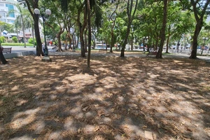 TP.HCM cần 4.480 tỉ đồng cho các dự án công viên và phát triển cây xanh