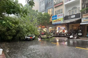 Giải pháp ứng phó với bão số 3 tại TP.HCM