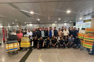 Nhân viên công ty cây xanh TP.HCM và Huế được chi viện khắc phục hậu quả bão số 3 tại Hà Nội, Hải Phòng