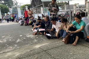 Người dân TP.HCM xếp hàng làm hồ sơ trước ngày bảng giá đất mới có hiệu lực