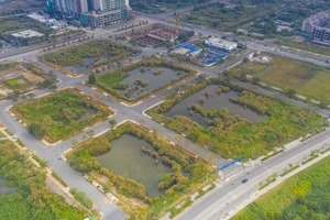 TP.HCM sẽ thu hơn 23.000 tỉ nghĩa vụ tài chính đối với 8 khu đất ở khu đô thị mới Thủ Thiêm