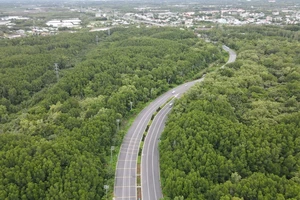 TP.HCM triển khai nhiều giải pháp để phát triển khu sinh quyển Cần Giờ