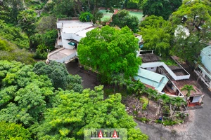 Ai sẽ thực hiện bảo trì nhà biệt thự có nhiều chủ sở hữu?