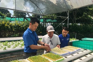 TP.HCM ứng dụng công nghệ cao trong sản xuất nông nghiệp để ứng phó với biến đổi khí hậu