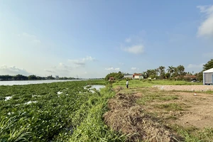 TP.HCM khởi công dự án chống triều cường, ngăn ngập ven sông Sài Gòn