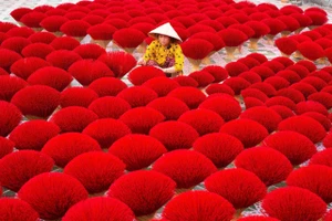 Nhiều hoạt động vui chơi giải trí đặc sắc ở huyện Bình Chánh dịp Lễ 30-4