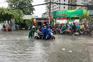 TP.HCM giải quyết 19 điểm ngập thường xuyên bằng cách nào?